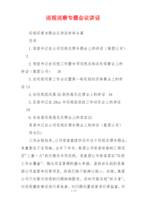 巡视巡察专题会议讲话