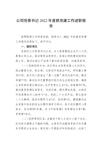 公司党委书记20XX年度抓党建工作述职报告