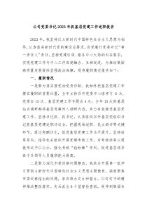 公司党委书记20XX年抓基层党建工作述职报告