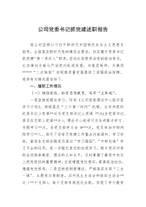 公司党委书记抓党建述职报告