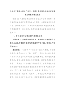 公司关于落实全面从严治党党建责任情况检查考核反馈意见的整改情况报告