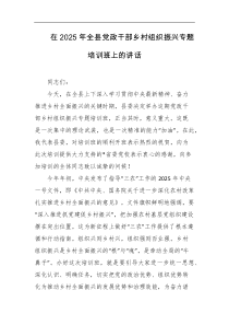 在2025年全县党政干部乡村组织振兴专题培训班上的讲话