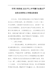 市审计局党组2025年上半年履行全面从严治党主体责任工作情况的报告