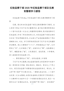 纪检监察干部2025年纪检监察干部队伍教育整顿学习感悟