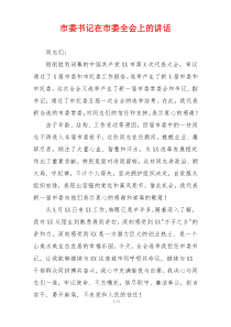 市委书记在市委全会上的讲话