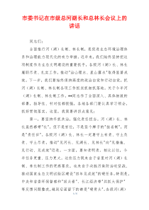 市委书记在市级总河湖长和总林长会议上的讲话