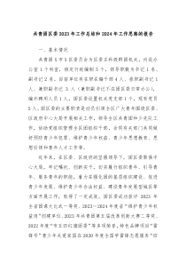 共青团区委20XX年工作总结和2024年工作思路的报告