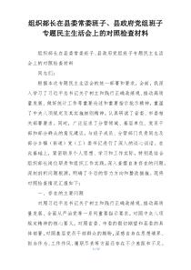 组织部长在县委常委班子、县政府党组班子专题民主生活会上的对照检查材料