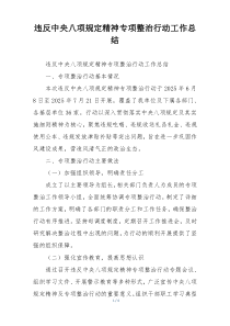 违反中央八项规定精神专项整治行动工作总结