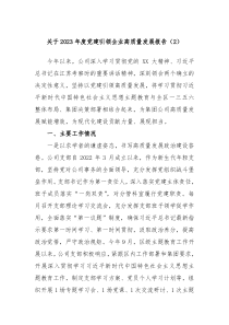 关于20XX年度党建引领企业高质量发展报告2