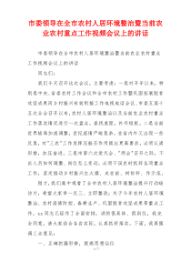 市委领导在全市农村人居环境整治暨当前农业农村重点工作视频会议上的讲话