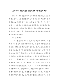 关于20XX年度实施乡村振兴战略工作情况的报告