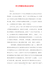 市文明委全体会议讲话