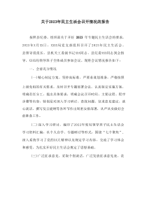 关于20XX年民主生活会召开情况的报告