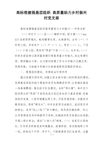 高标准建强基层组织 高质量助力乡村振兴村党支部