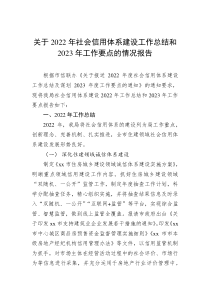关于20XX年社会信用体系建设工作总结和20XX年工作要点的情况报告