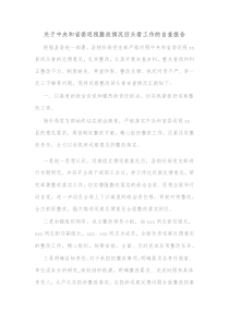 关于中央和省委巡视整改情况回头看工作的自查报告