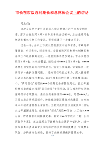 市长在市级总河湖长和总林长会议上的讲话