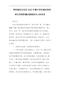 常务副区长在区2025年重大项目建设和招商引资高质量发展推进会上的讲话