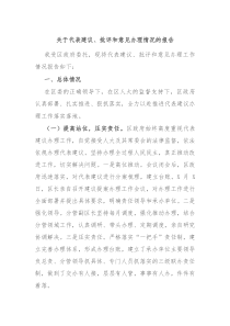 关于代表建议批评和意见办理情况的报告