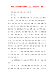 民族团结进步表彰大会上的讲话2篇