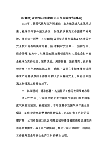 XX(集团)公司2025年度防汛工作总结报告（精品）