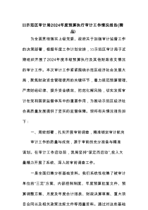 XX示范区审计局2024年度预算执行审计工作情况报告（精品）