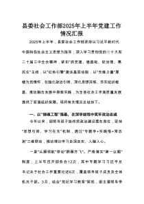 县委社会工作部2025年上半年党建工作情况汇报
