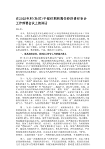 在2025年村（社区）干部任期和离任经济责任审计工作部署会议上的讲话