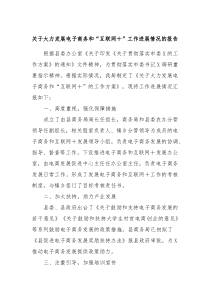 关于大力发展电子商务和互联网工作进展情况的报告