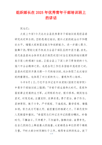 组织部长在2025年优秀青年干部培训班上的讲话
