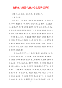 院长在共青团代表大会上的讲话学校