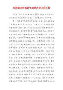 高质量项目建设年动员大会上的讲话