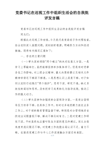党委书记在巡视工作中组织生活会的自我批评发言稿