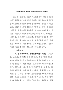 关于推进法治建设第一责任人职责述职报告