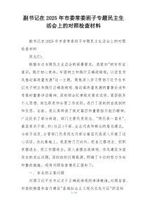 副书记在2025年市委常委班子专题民主生活会上的对照检查材料