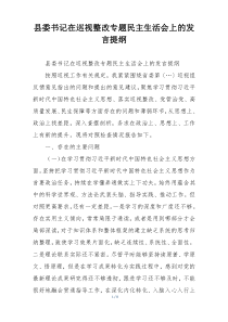 县委书记在巡视整改专题民主生活会上的发言提纲