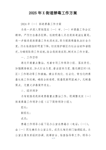 2025年X街道禁毒工作方案