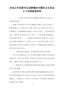 水电公司党委书记巡察整改专题民主生活会个人对照检查材料