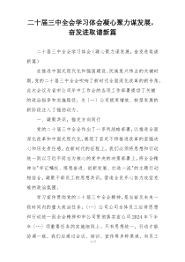 二十届三中全会学习体会凝心聚力谋发展，奋发进取谱新篇