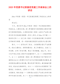 2025年党委书记抓基层党建工作座谈会上的讲话