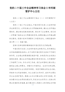 党的二十届三中全会精神学习体会X市河湖管护中心主任