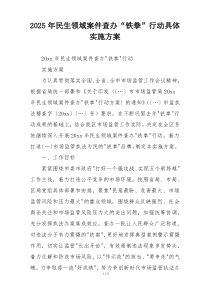 2025年民生领域案件查办“铁拳”行动具体实施方案