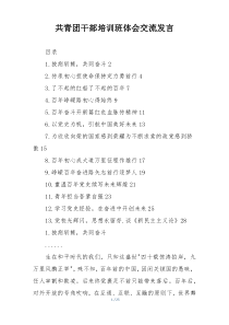 共青团干部培训班体会交流发言