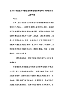 在2025年全镇村干部任期和离任经济责任审计工作启动会上的讲话