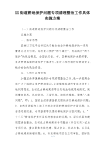 XX街道耕地保护问题专项清理整治工作具体实施方案