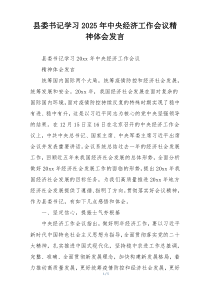 县委书记学习2025年中央经济工作会议精神体会发言