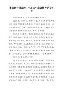 团委副书记党的二十届三中全会精神学习体会