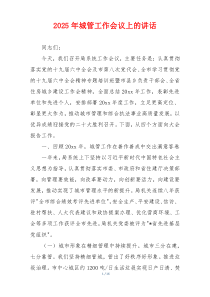 2025年城管工作会议上的讲话