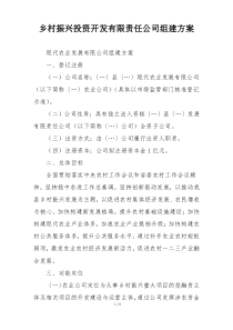 乡村振兴投资开发有限责任公司组建方案